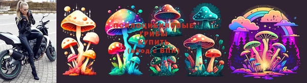 марки lsd Горно-Алтайск