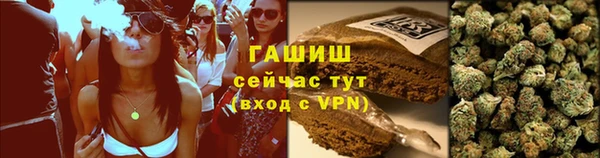ПСИЛОЦИБИНОВЫЕ ГРИБЫ Вязьма