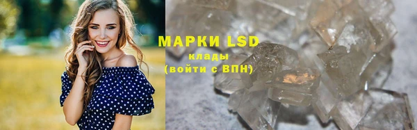 ПСИЛОЦИБИНОВЫЕ ГРИБЫ Вязьма