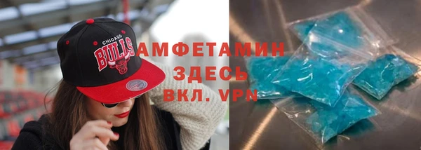 индика Горняк