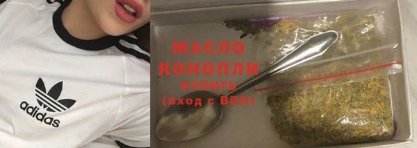 индика Горняк