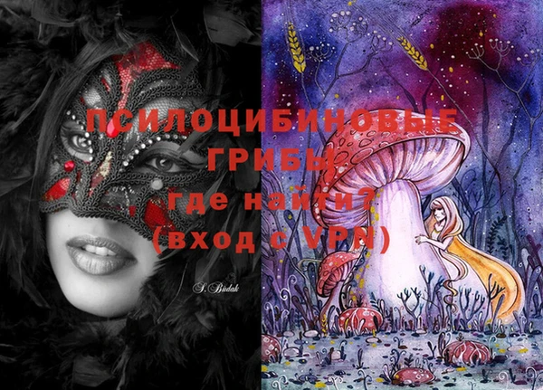 индика Горняк