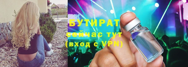индика Горняк