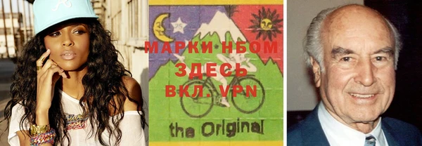индика Горняк